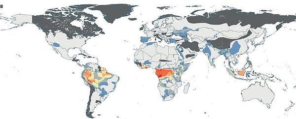 Yılan ısırıklarının tedavisi konusunda Avustralya gibi ülkelerde çok çeşitli ve hâlihazırda yöntemler varken diğer ülkelere bakıldığında tedavi konusundaki eşitsizlik gözler önüne seriliyor. Bu haritada ise ülkelerin tedavi için kullanılabilecek panzehir oranları gösterilmektedir.
