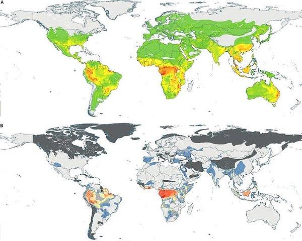 Yüksek gelirli ülkelere bakıldığında yılan ısırıklarının riski konusunda yeterli araştırmalar var olsa da diğer ülkeler için bu geçerli değildir. Özellikle kırsal alanlardaki büyük riskin göz ardı edilmemesi gerekmektedir.