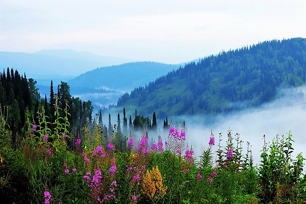 1. Итак, расставим точки над i: в России не холодно. Вернее, не везде!