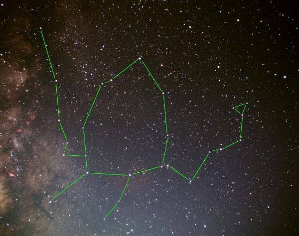 10. Ваш вердикт?