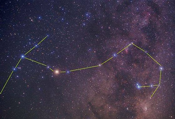 11. А в этом случае? Подсказка: это ещё один знак зодиака...