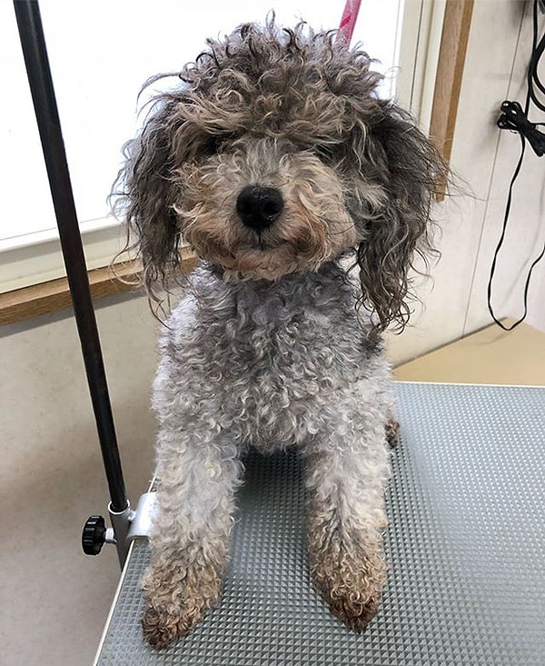 7. Потрясающая работа!