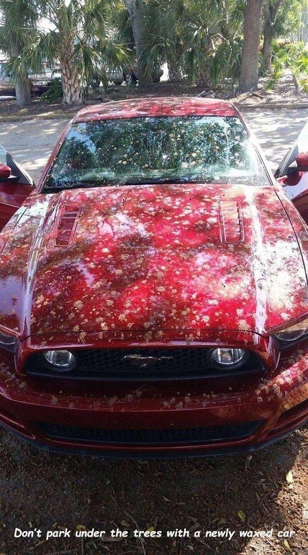 14. Дерьмовый день. Во всех смыслах