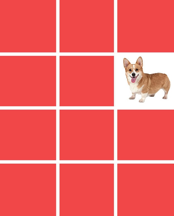 Показать правильный ответ