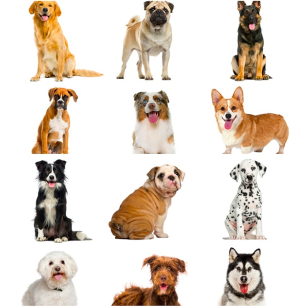 Только 20 секунд! Приступайте...