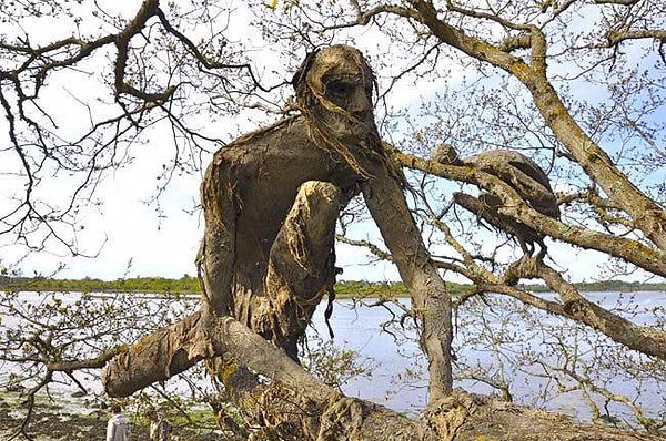 2. Представьте, что вы случайно набрели на одну из них. Да еще и в ночи...