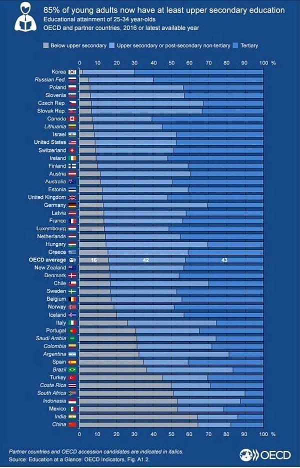 17) Bu grafikte OECD ülkeleri ile katılımcı diğer ülkeler arasında eğitim düzeylerine göre bir araştırma yer alıyor.