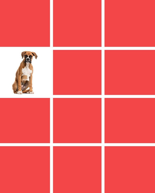 Показать правильный ответ