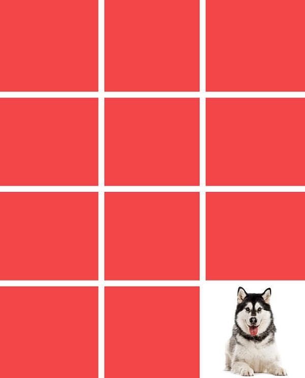 Показать правильный ответ