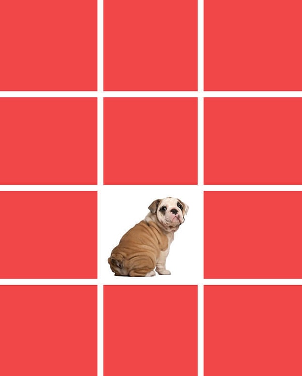 Показать правильный ответ