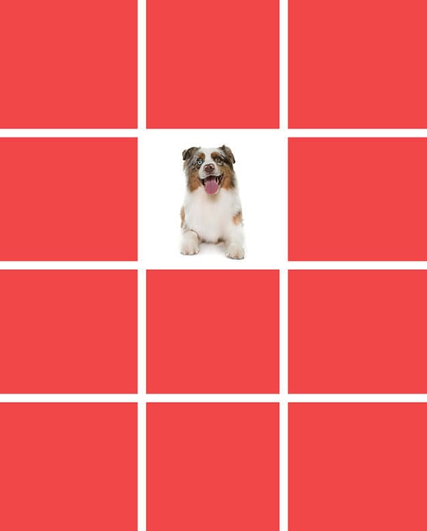 Показать правильный ответ