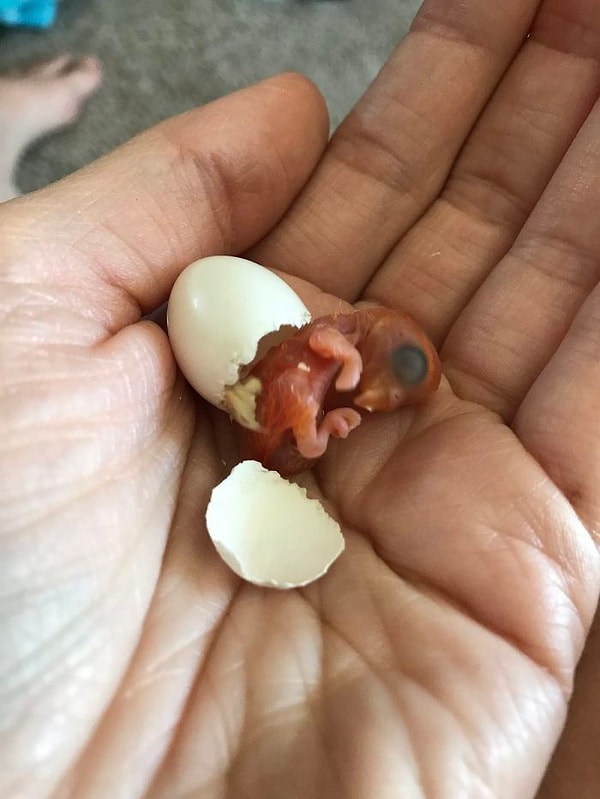 15. И вот настал этот долгожданный момент...