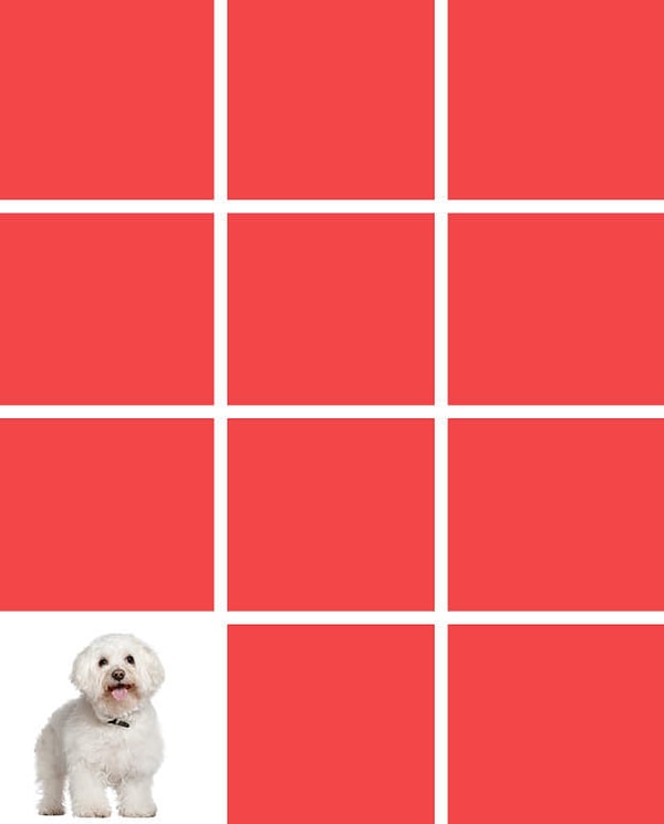 Показать правильный ответ