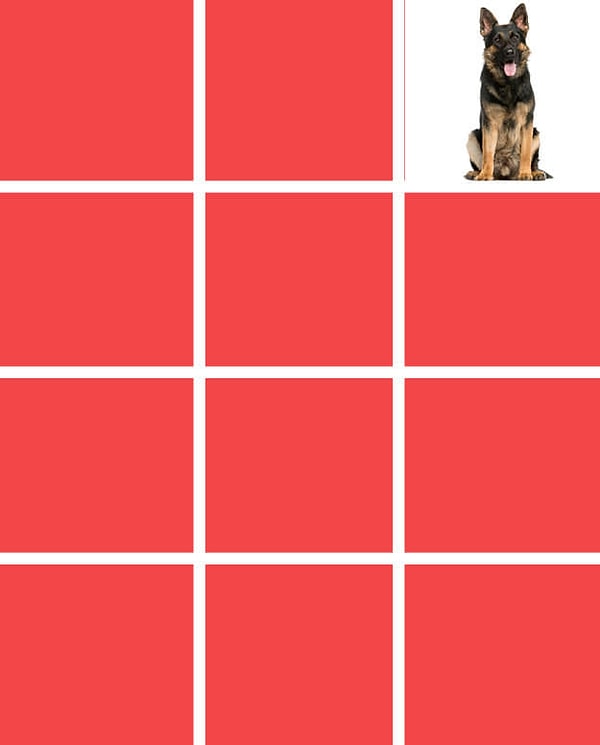 Показать правильный ответ