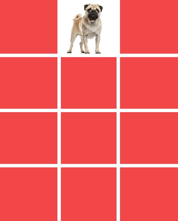 Показать правильный ответ