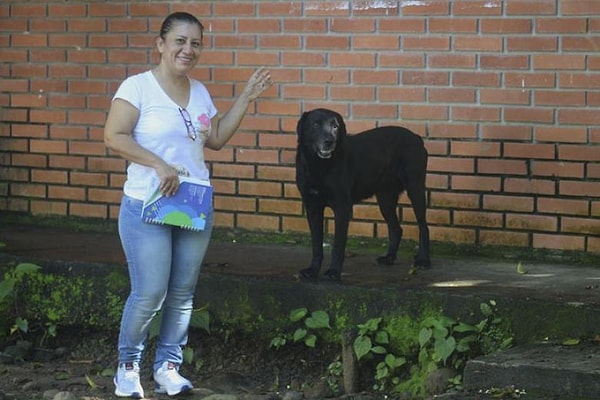 Негро не растерялся и, найдя во дворе листья деревьев, встал в очередь и протянул один из них.