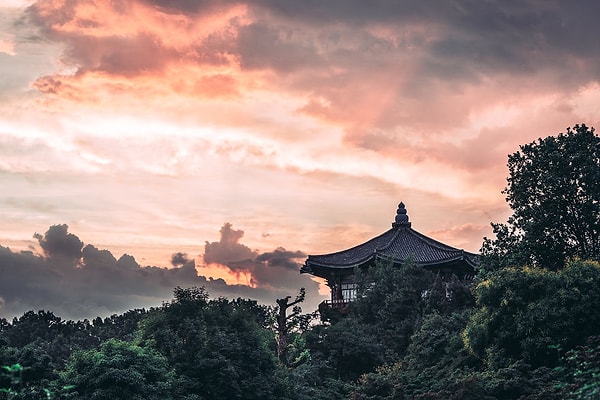 1. Джеймс переехал в Сеул из США.