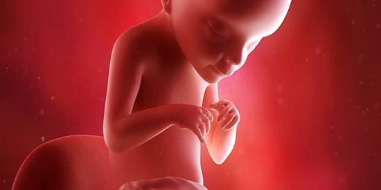 Hamilelikte 21. Hafta: Bebeğiniz Artık Sizin Kahkahanızı Bile İşitebiliyor!