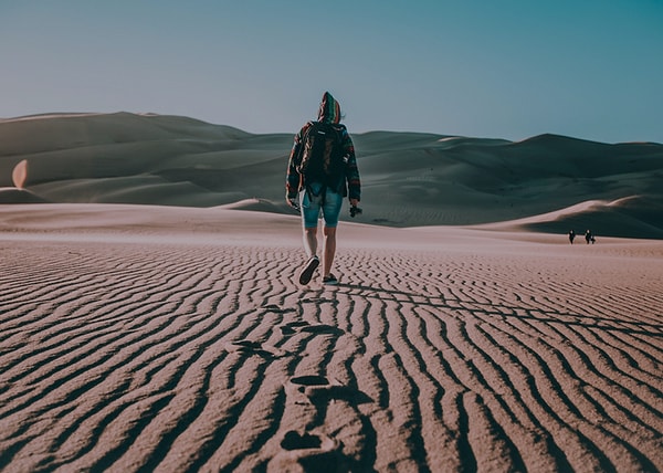 Ура, вам удалось спастись!