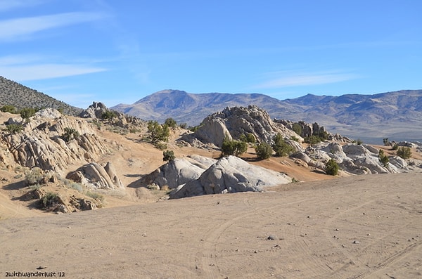 7. Где будете искать какую-нибудь живность, чтобы поесть?