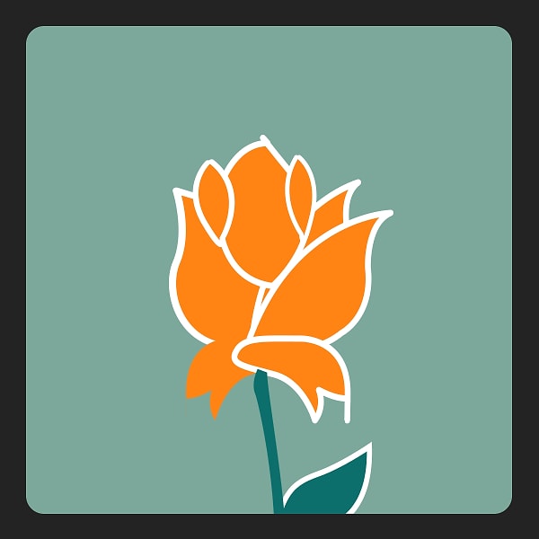 Оранжевая роза: в любви вы полны сюрпризов