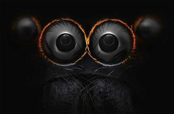 4. Что на фото?