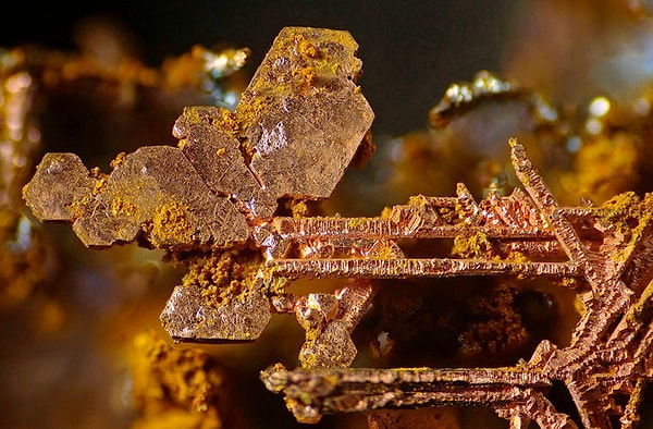 5. Что на фото?