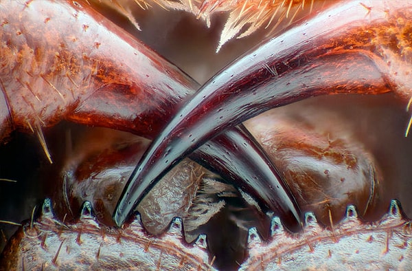 8. Что на фото?