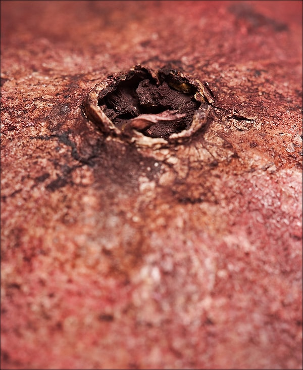 9. Что на фото?