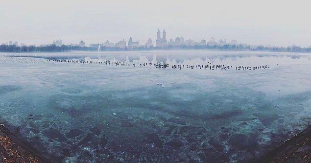 “Frozen Central Park”