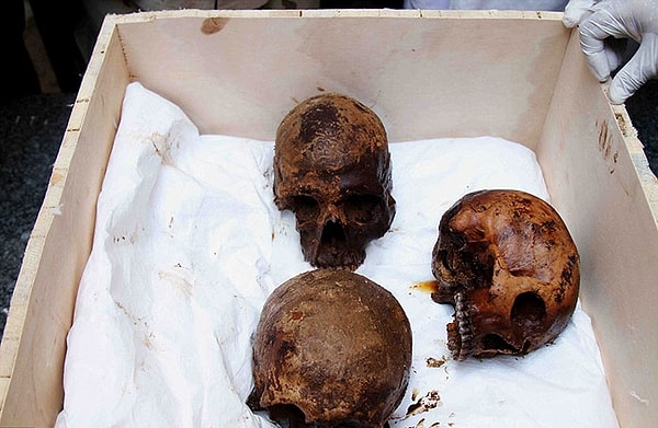 9. Кости не принадлежат королевской семье, и нет никаких надписей, раскрывающих личности мумий. Вскоре Верховный совет древностей Египта проведет несколько тестов на костях, чтобы узнать, какой эре принадлежали воины