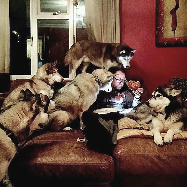 23. Стервятники