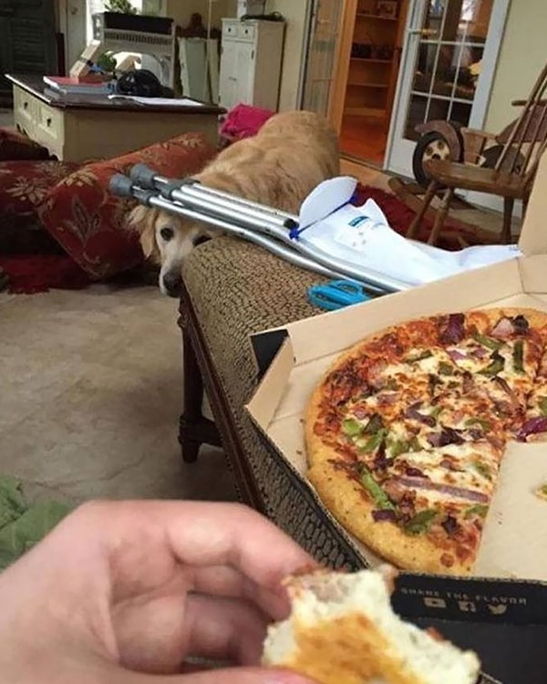 24. "Он думает, что я не вижу его"