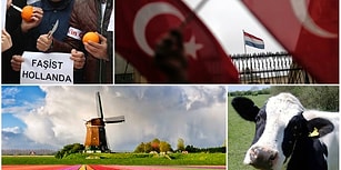 İnekler 'Sınır Dışı' Edilmiş, Portakallar Sıkılmıştı: Türkiye - Hollanda Teması ve Karşılıklı Normalleşme Adımları
