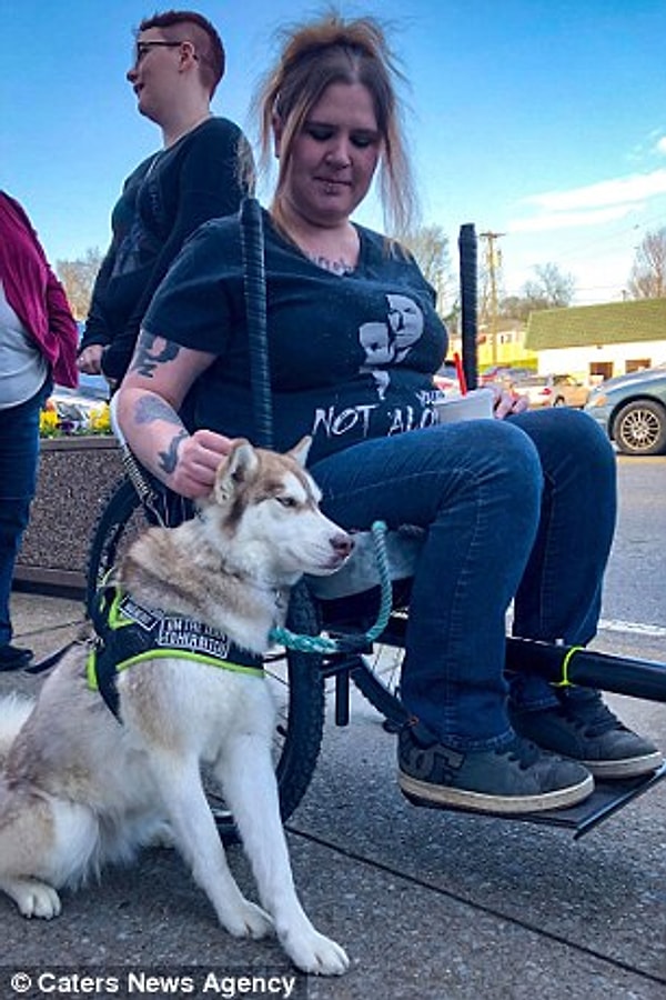 8. Давайте поблагодарим Бэннер и её хозяйку за такой заслуживающий уважения и восхищения поступок, а котятам пожелаем скорейшего выздоровления!