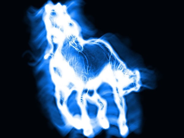 Твой Патронус - конь!