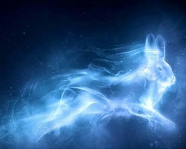 Твой Патронус - заяц!