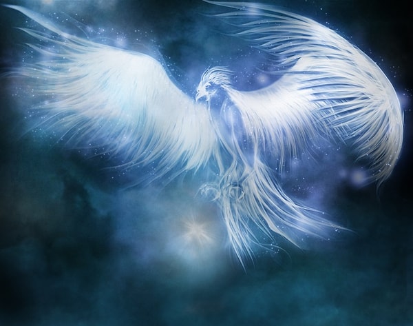 Твой Патронус - феникс!