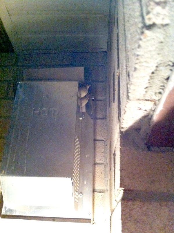 2. Август 2014 года.