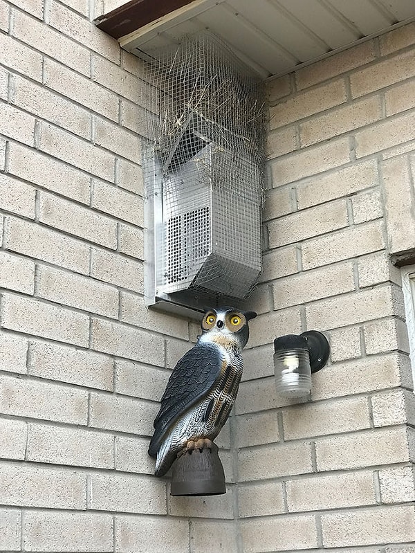 12. Май 2018 года.