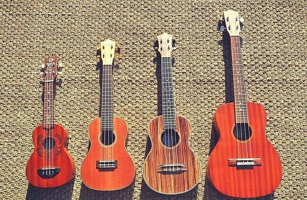 Boyutlarına göre sık rastlanan 4 tip ukulele mevcut : Soprano, Concert, Tenor ve Bariton.