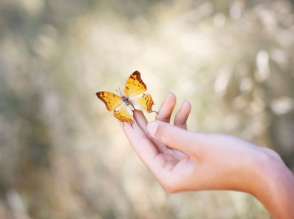 6. А что из этого лучше всего отражает счастье?