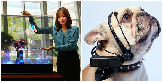 Переводчик для собак и кошек и еще несколько гаджетов из будущего, которые уже здесь!