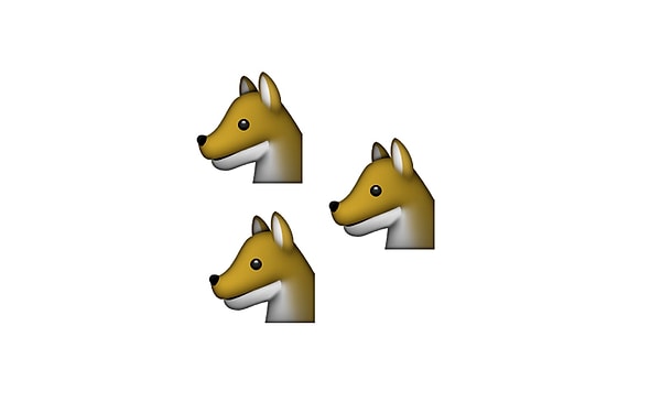 6. Вы знаете ответ :)