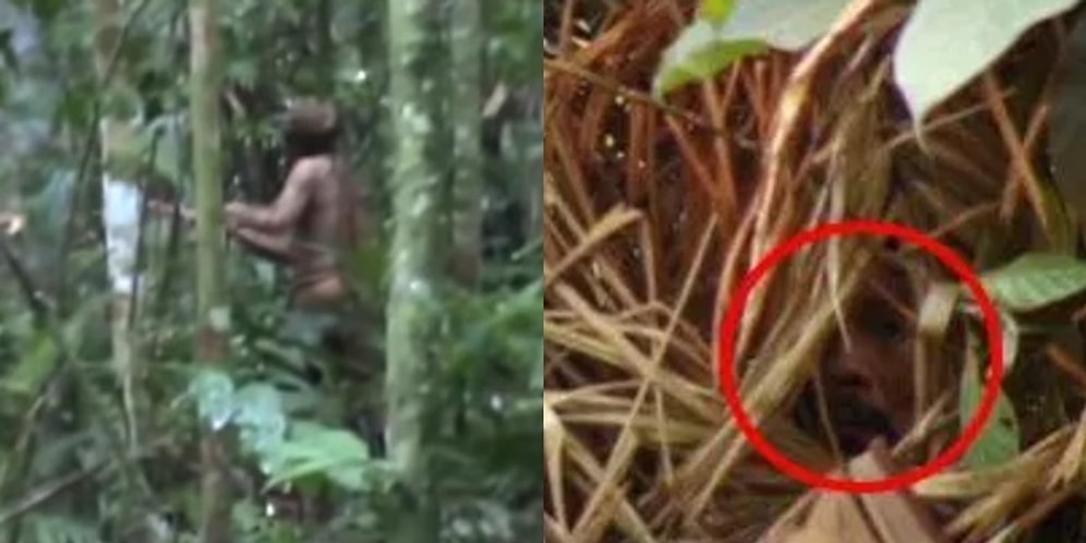 Amazon'da Bir Kabilenin Yaşayan Son Üyesi Ormanda Yalnız Geçirdiği 22 Yıldan Sonra Kameralara Yakalandı!