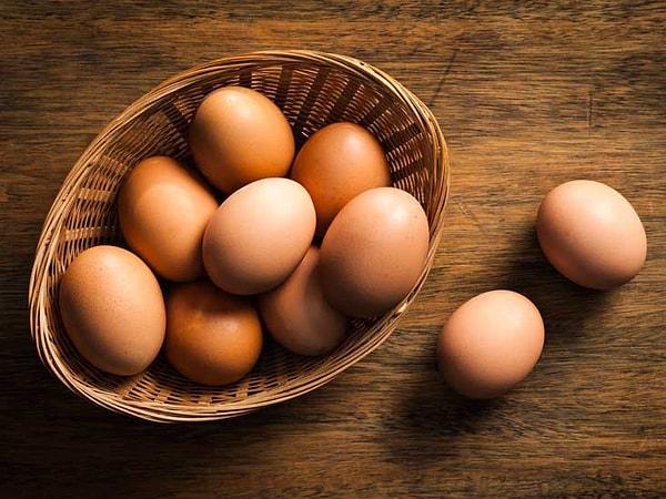 13. Yumurtaların neden bir yanı sivri bir yanı yuvarlaktır?