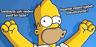 Öğrendikten Sonra Ufak Çapta Bir Rönesans Yaşayacağınız Hayatın İçinden 15 Soru ve Cevabı
