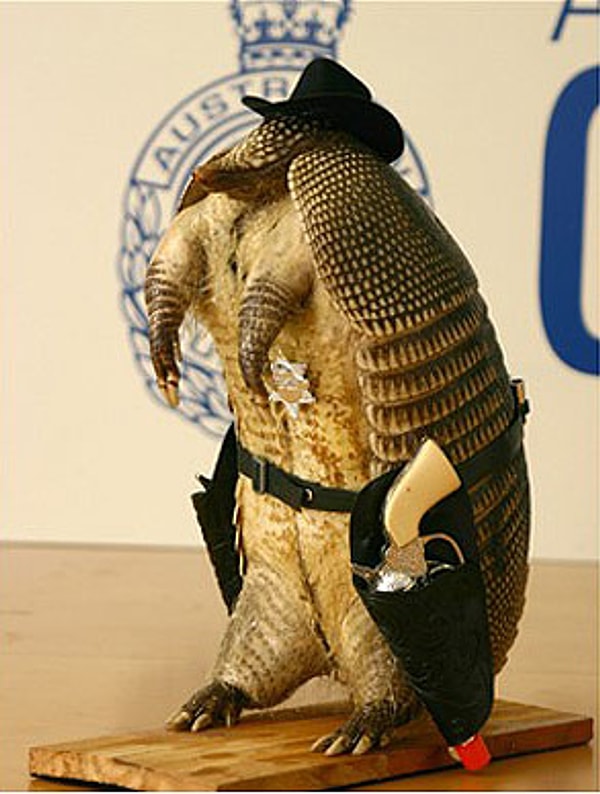 7. Чучело броненосца