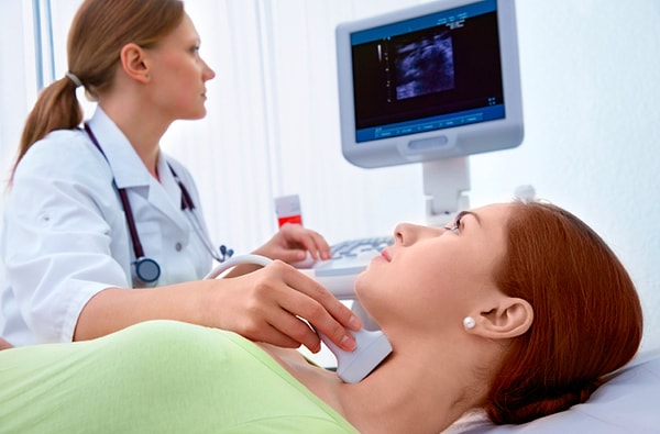 1. Где у человека находится сетчатка?