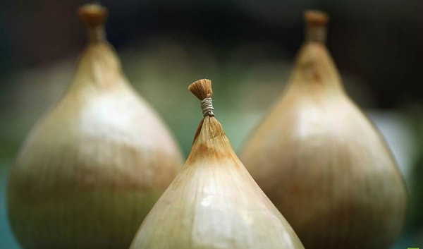 5. Кокаин в луке (аэропорт Хитроу)